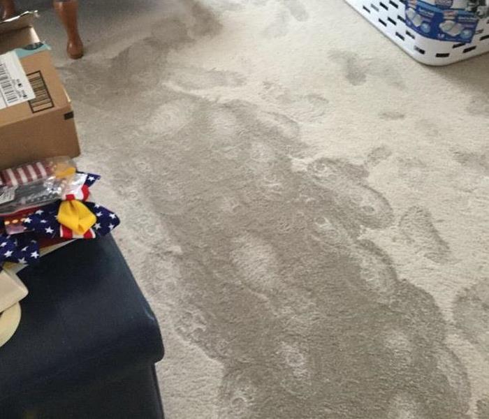 water damage on carpet
