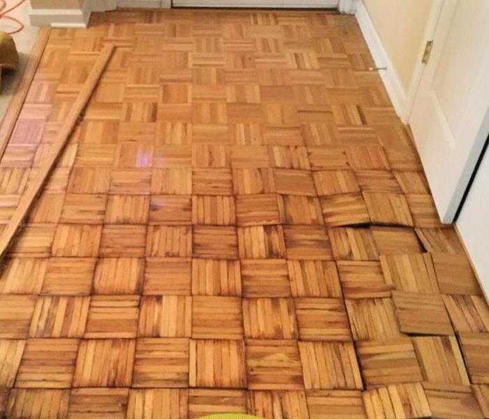hardwood floor that buckled