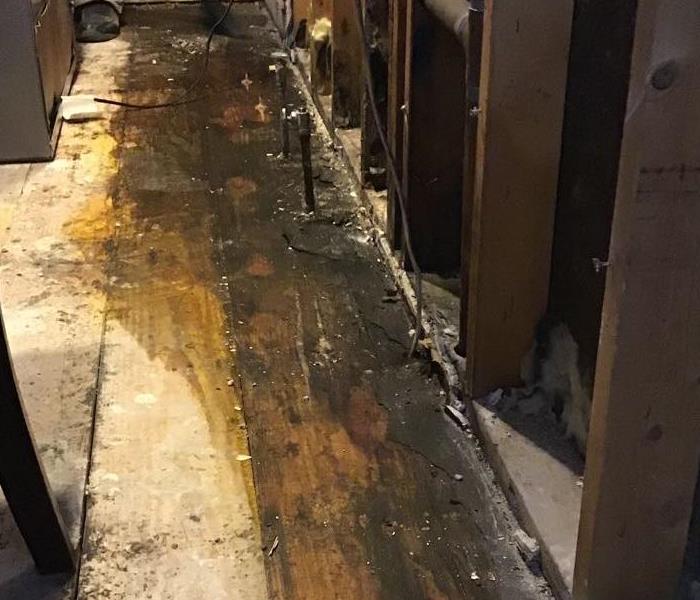 hardwood floor with water damage