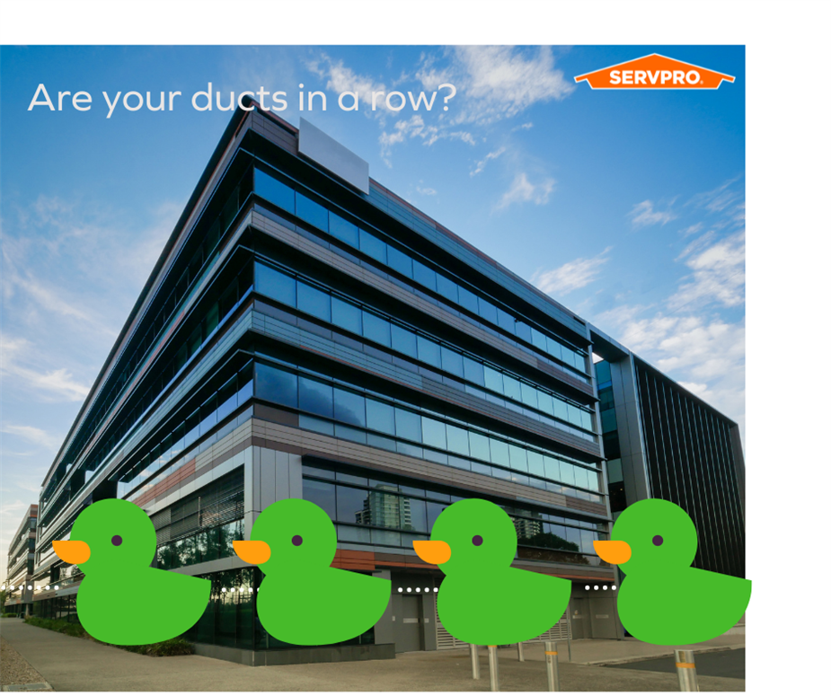 commercial building with ducks